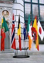 Flags representing the countries of the congress participants